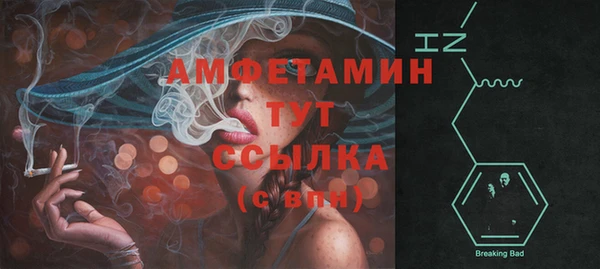 соль ск Нея