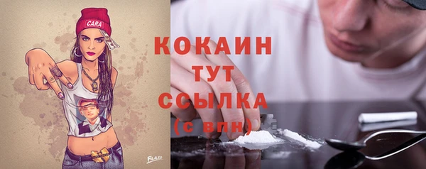 соль ск Нея