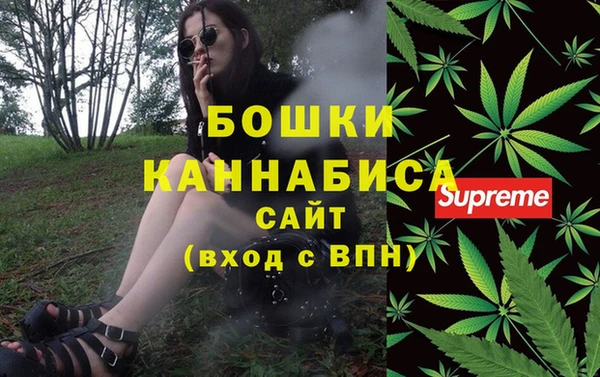 соль ск Нея
