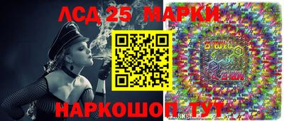 бошки Гатчина