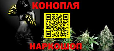 бошки Гатчина