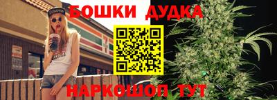 бошки Гатчина
