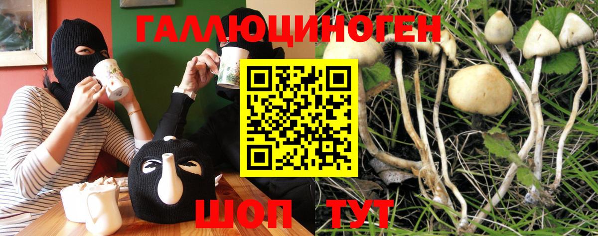 Псилоцибиновые грибы MAGIC MUSHROOMS  Таганрог 